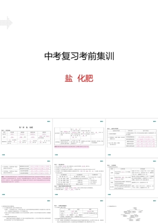 安徽省中考化学复习 专题七 盐 化肥（小册子）课件 新人教版-新人教版初中九年级全册化学课件