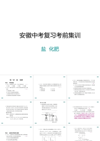 安徽省中考化学复习 专题七 盐 化肥习题课件 新人教版-新人教版初中九年级全册化学课件