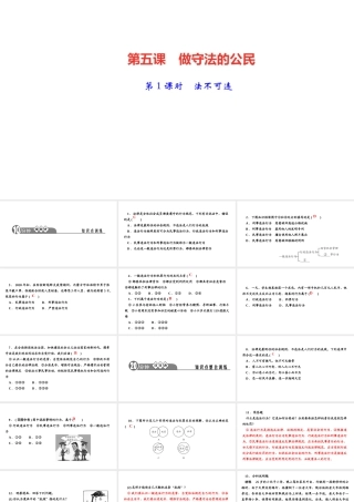 八年级道德与法治上册 第二单元 遵守社会规则 第五课 做守法的公民第1课时 法不可违作业课件 新人教版-新人教版初中八年级上册政治课件