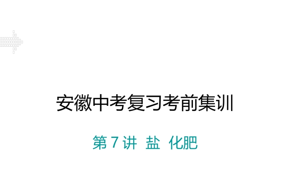 安徽省中考化学考前集训复习 第7讲 盐 化肥习题课件 新人教版-新人教版初中九年级全册化学课件