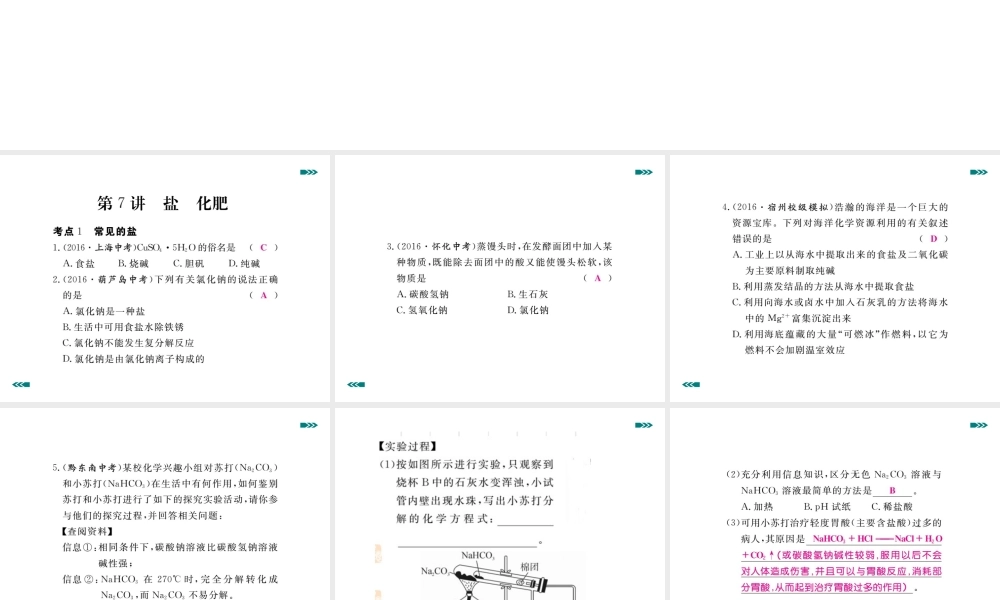 安徽省中考化学考前集训复习 第7讲 盐 化肥习题课件 新人教版-新人教版初中九年级全册化学课件
