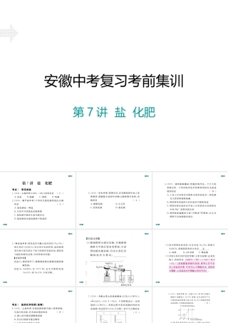 安徽省中考化学考前集训复习 第7讲 盐 化肥习题课件 新人教版-新人教版初中九年级全册化学课件