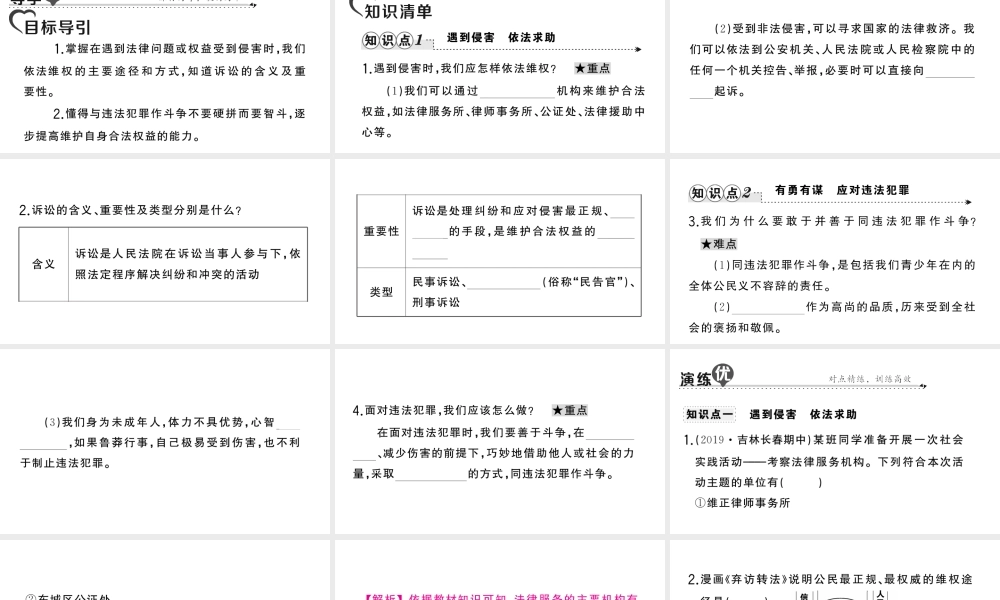 八年级道德与法治上册 第二单元 遵守社会规则 第五课 做守法的公民第3框 善用法律作业课件 新人教版-新人教版初中八年级上册政治课件