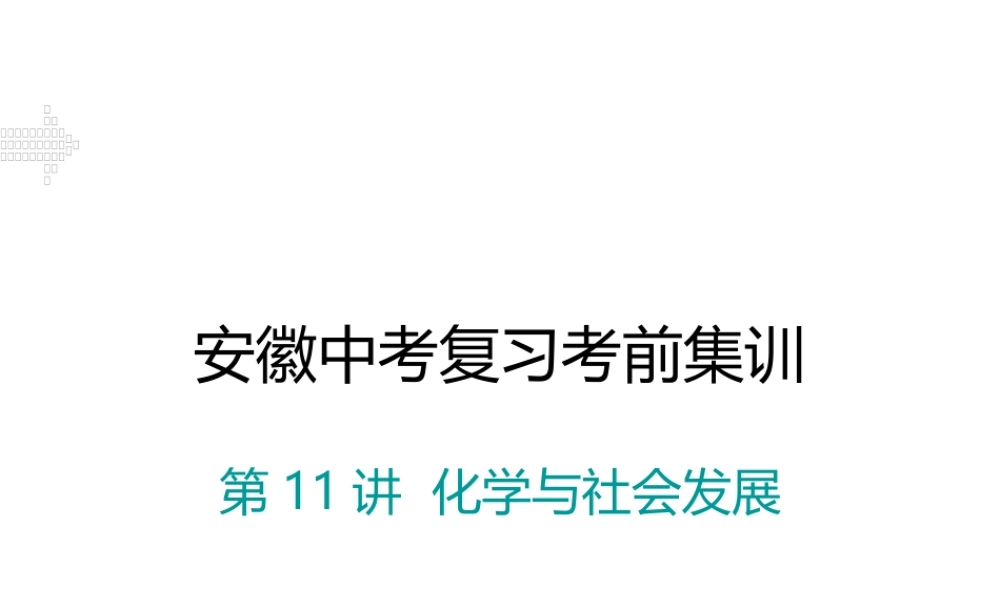 安徽省中考化学考前集训复习 第11讲 化学与社会发展习题课件 新人教版-新人教版初中九年级全册化学课件