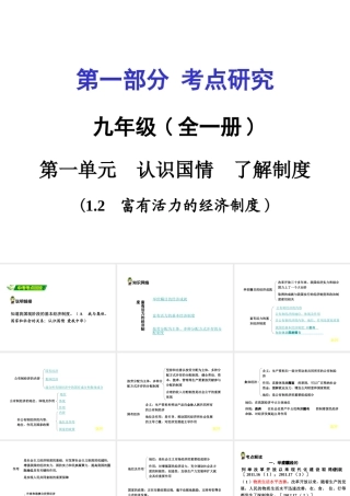 安徽省中考政治 第一篇 1.2 富有活力的经济制度课件-人教版初中九年级全册政治课件