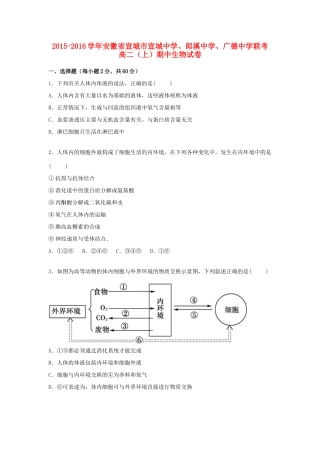 、郎溪中学、广德中学联考高二生物上学期期中试卷（含解析）-人教版高二全册生物试题