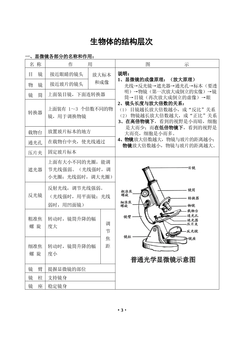 初中生物知识点汇总_第3页