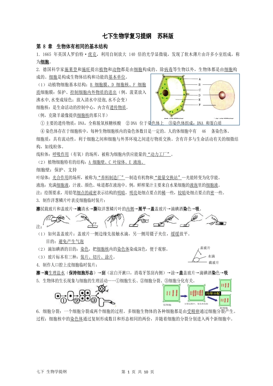 生物七下期末复习提纲_第1页