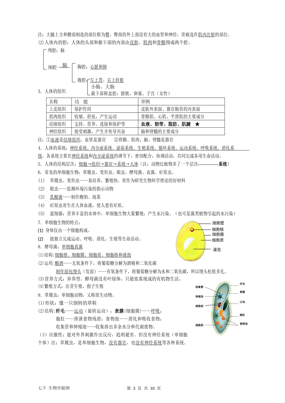 生物七下期末复习提纲_第3页
