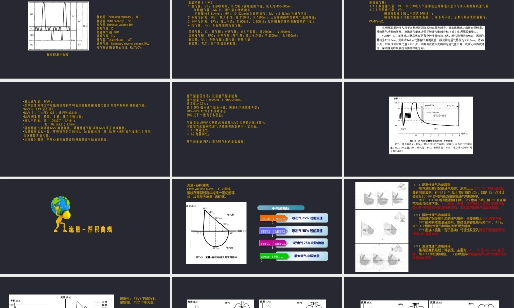 (完整版)肺功能简述