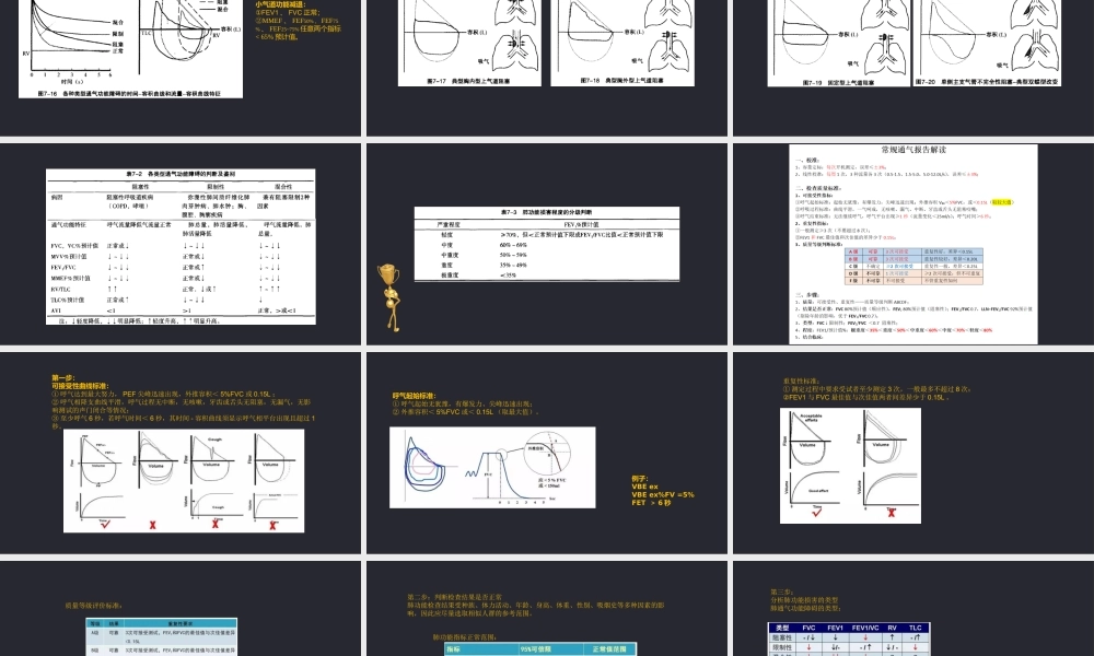 (完整版)肺功能简述