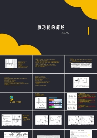 (完整版)肺功能简述