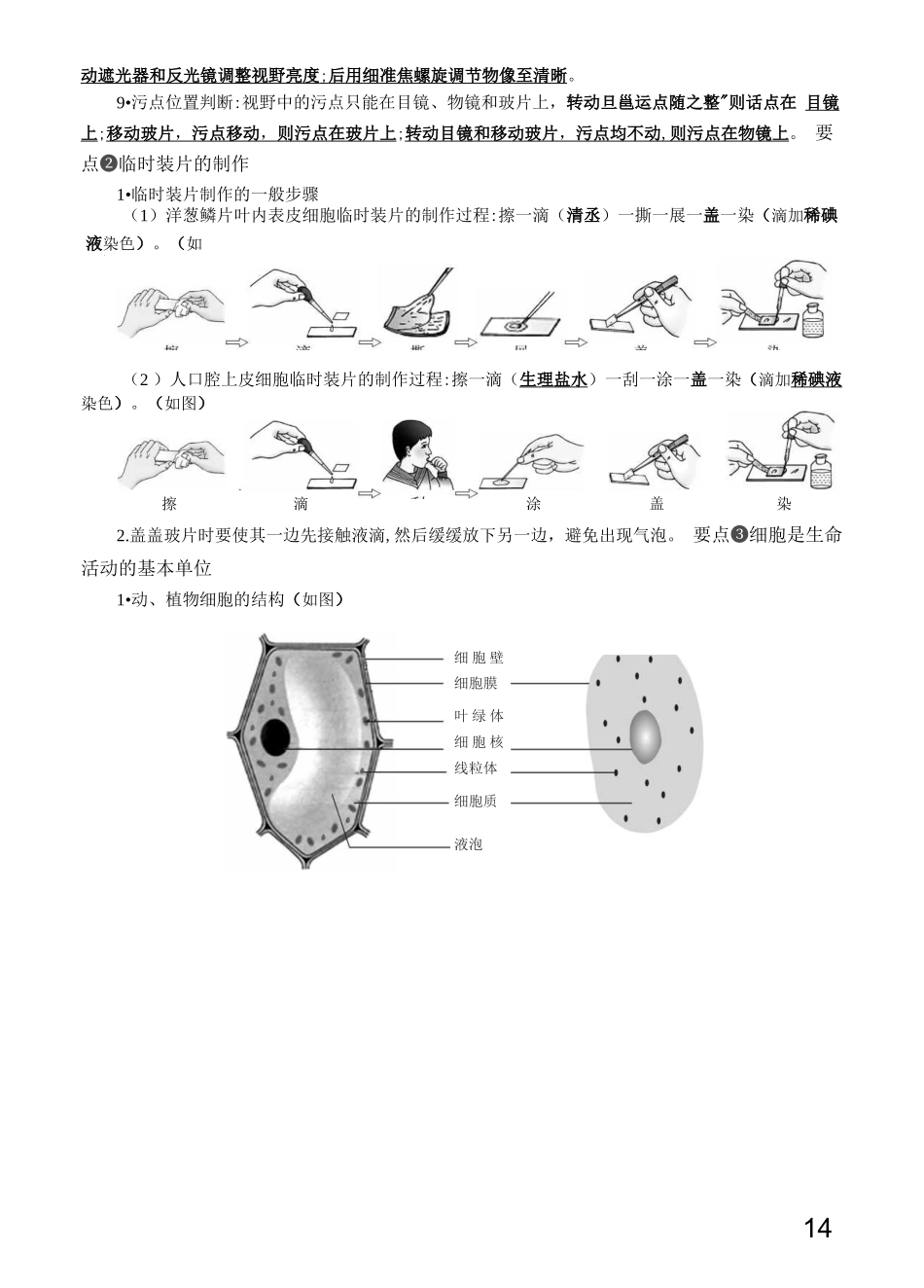 初中生物要点速记完整_第3页