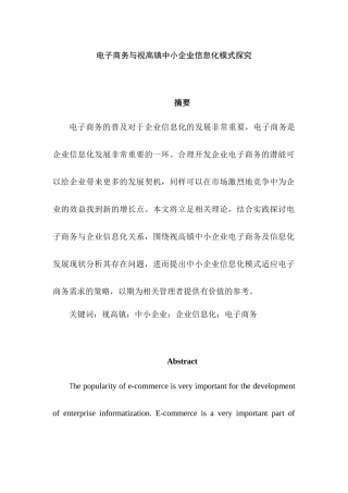 电子商务与视高镇中小企业信息化模式探究研究分析 电子商务管理专业