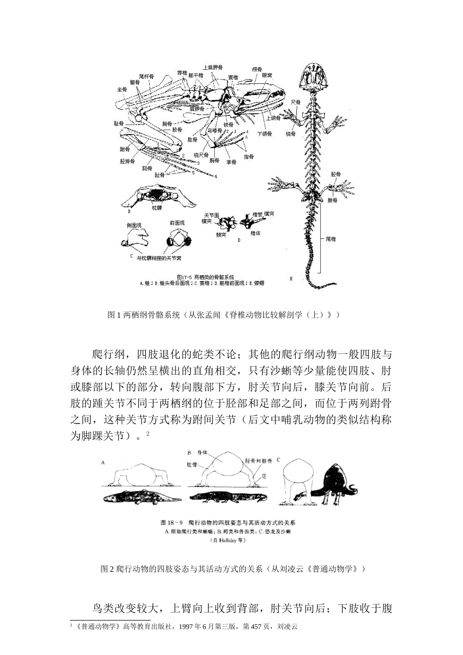 动物附肢关节结构的分析和进化过程推演分析研究  兽医学管理专业_第2页