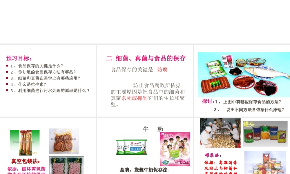 安徽省亳州市风华中学八年级生物《第二节 人类对细菌和真菌的利用》课件