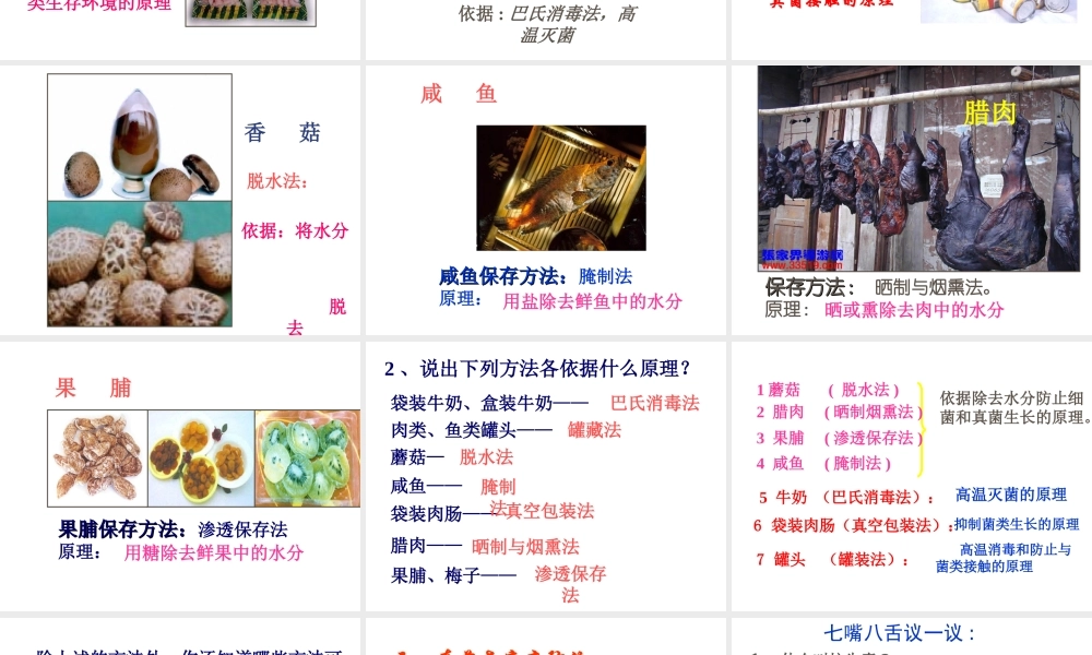 安徽省亳州市风华中学八年级生物《第二节 人类对细菌和真菌的利用》课件