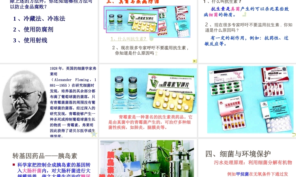 安徽省亳州市风华中学八年级生物《第二节 人类对细菌和真菌的利用》课件