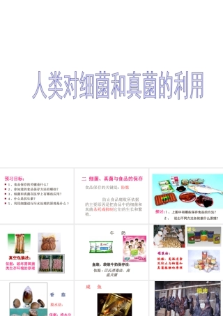 安徽省亳州市风华中学八年级生物《第二节 人类对细菌和真菌的利用》课件