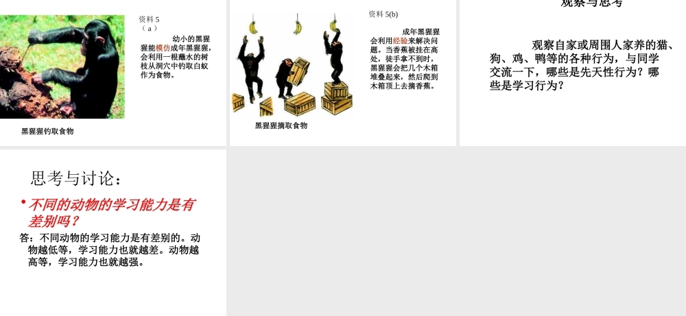 安徽省亳州市风华中学八年级生物《先天性行为和学习行为》课件