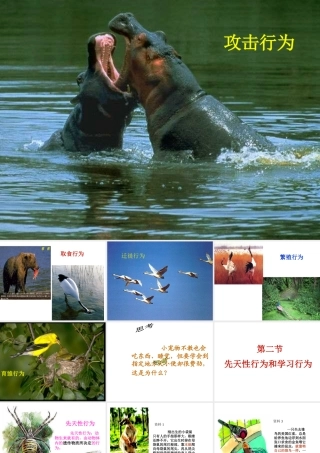 安徽省亳州市风华中学八年级生物《先天性行为和学习行为》课件