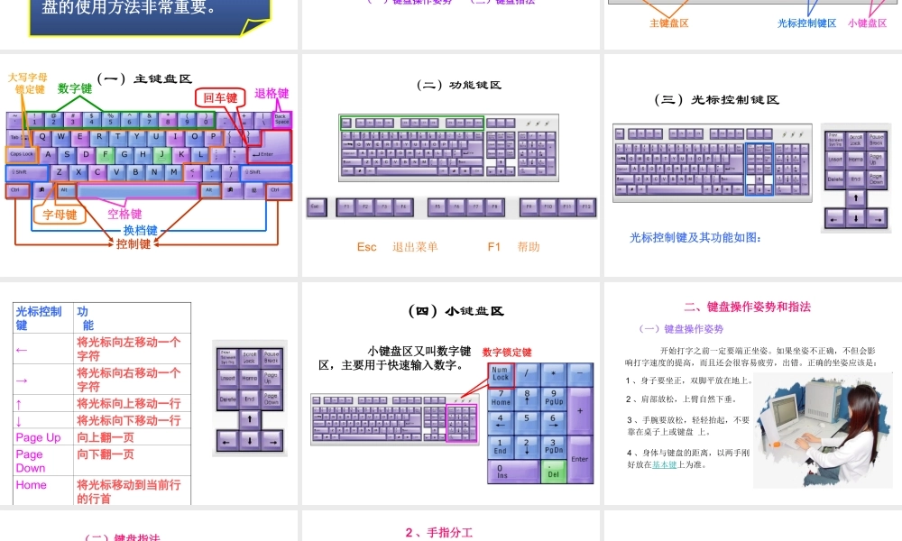 安徽省亳州市风华中学初中信息技术 计算机键盘的使用课件