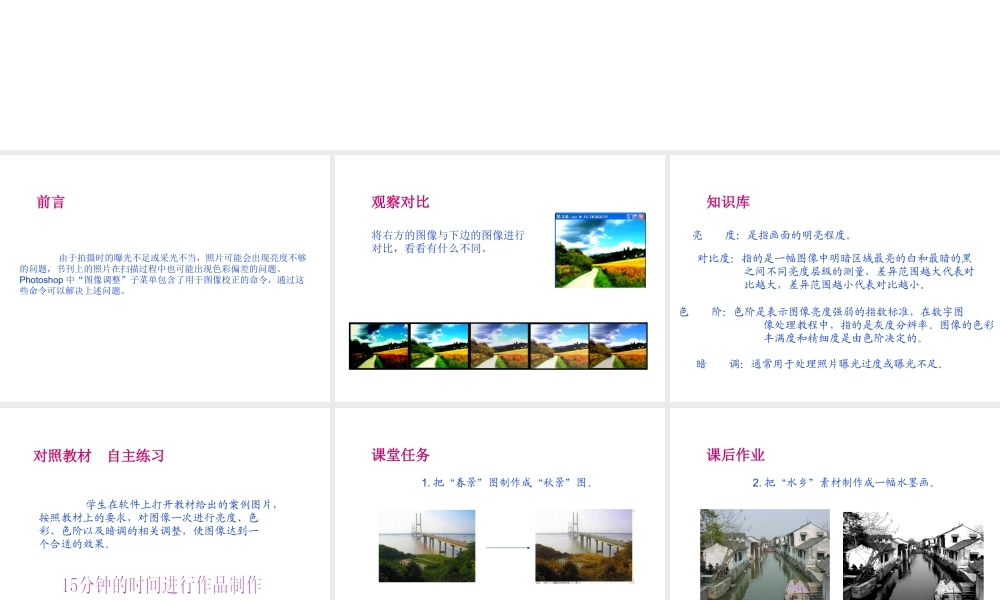 安徽省亳州市风华中学初中信息技术《调整图像》课件