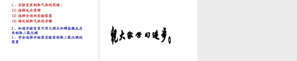 安徽省亳州市风华中学九年级化学上册 第6单元 课题2 二氧化碳制取的研究课件 （新版）新人教版