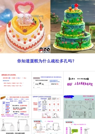 安徽省亳州市风华中学九年级化学上册 第6单元 课题2 二氧化碳制取的研究课件 （新版）新人教版