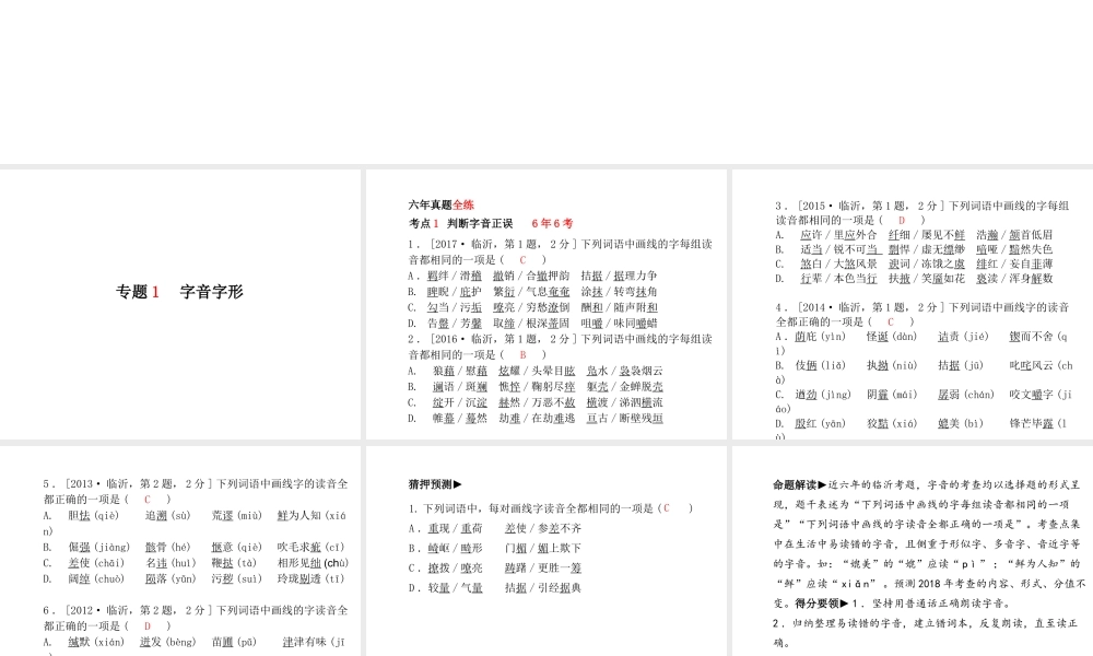 （临沂专版）中考语文 第二部分 专题复习 高分保障 专题1 字音字形课件-人教版初中九年级全册语文课件