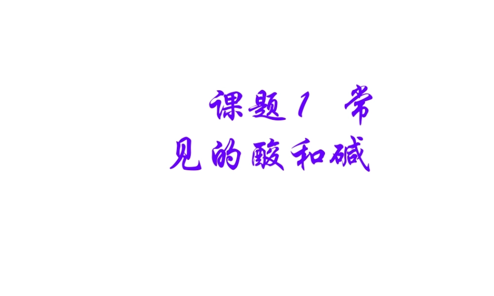 安徽省亳州市风华中学九年级化学下册 第10单元 课题1 常见的酸和碱课件 （新版）新人教版