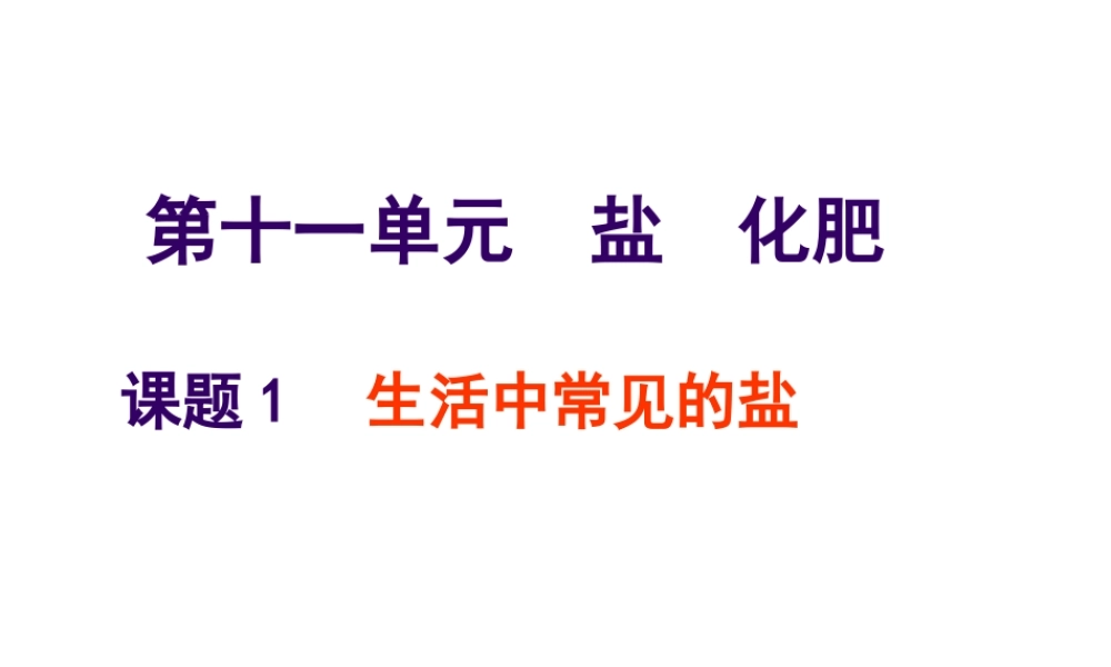 安徽省亳州市风华中学九年级化学下册 第11单元 课题1 生活中常见的盐课件（1） （新版）新人教版
