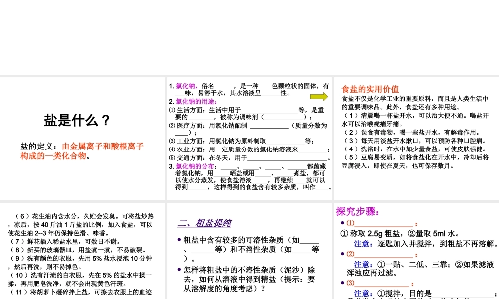 安徽省亳州市风华中学九年级化学下册 第11单元 课题1 生活中常见的盐课件（1） （新版）新人教版