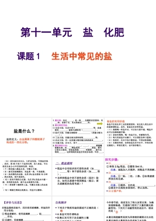 安徽省亳州市风华中学九年级化学下册 第11单元 课题1 生活中常见的盐课件（1） （新版）新人教版