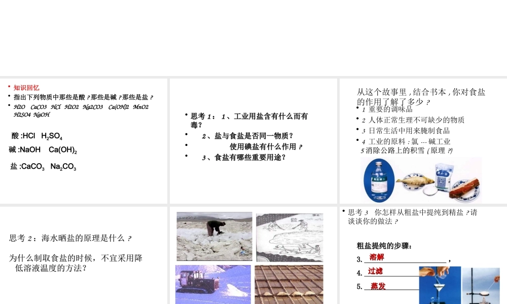 安徽省亳州市风华中学九年级化学下册 第11单元 课题1 生活中常见的盐课件（2） （新版）新人教版