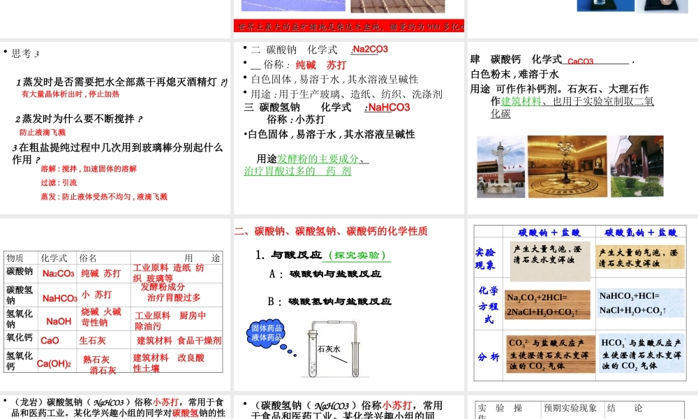 安徽省亳州市风华中学九年级化学下册 第11单元 课题1 生活中常见的盐课件（2） （新版）新人教版