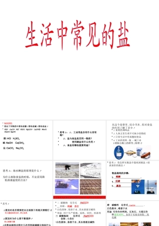 安徽省亳州市风华中学九年级化学下册 第11单元 课题1 生活中常见的盐课件（2） （新版）新人教版