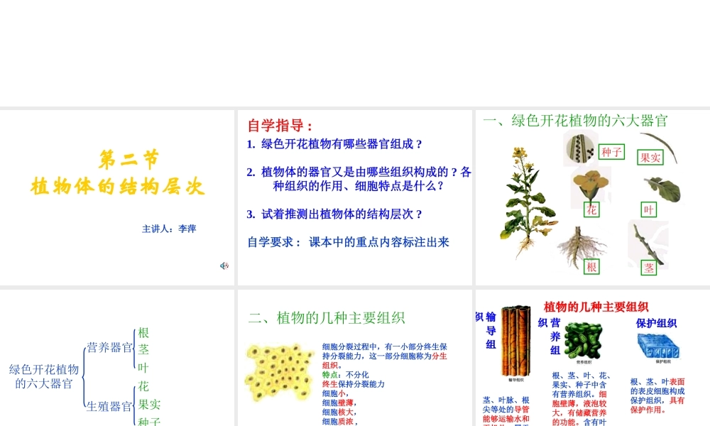 安徽省亳州市风华中学七年级生物第二节《植物体的结构层次》课件一