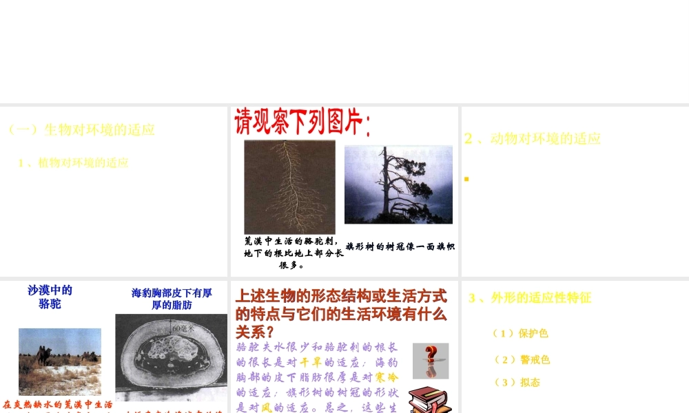 安徽省亳州市风华中学七年级生物第三节《生物对环境的适应和影响》课件