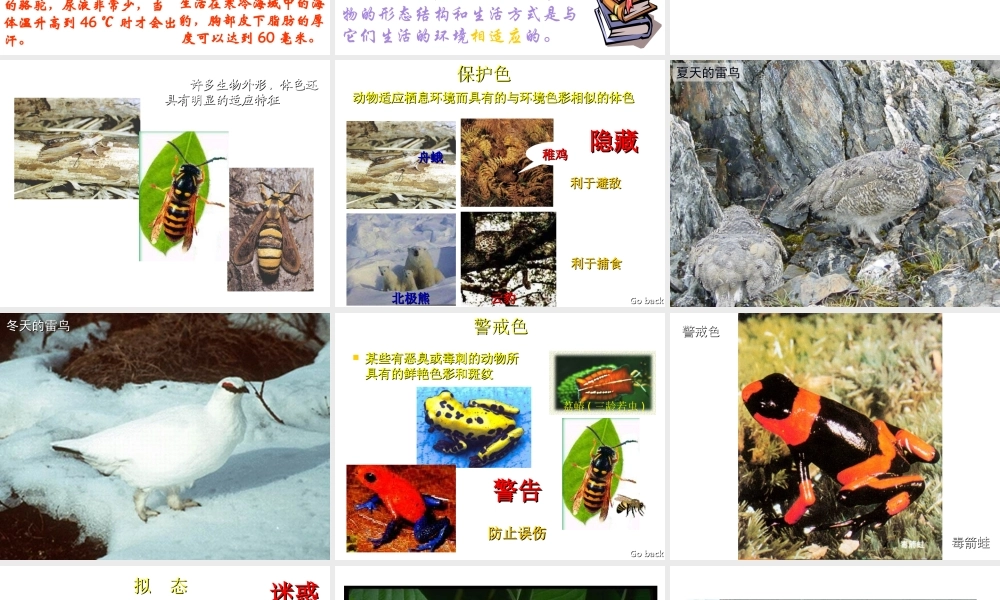 安徽省亳州市风华中学七年级生物第三节《生物对环境的适应和影响》课件