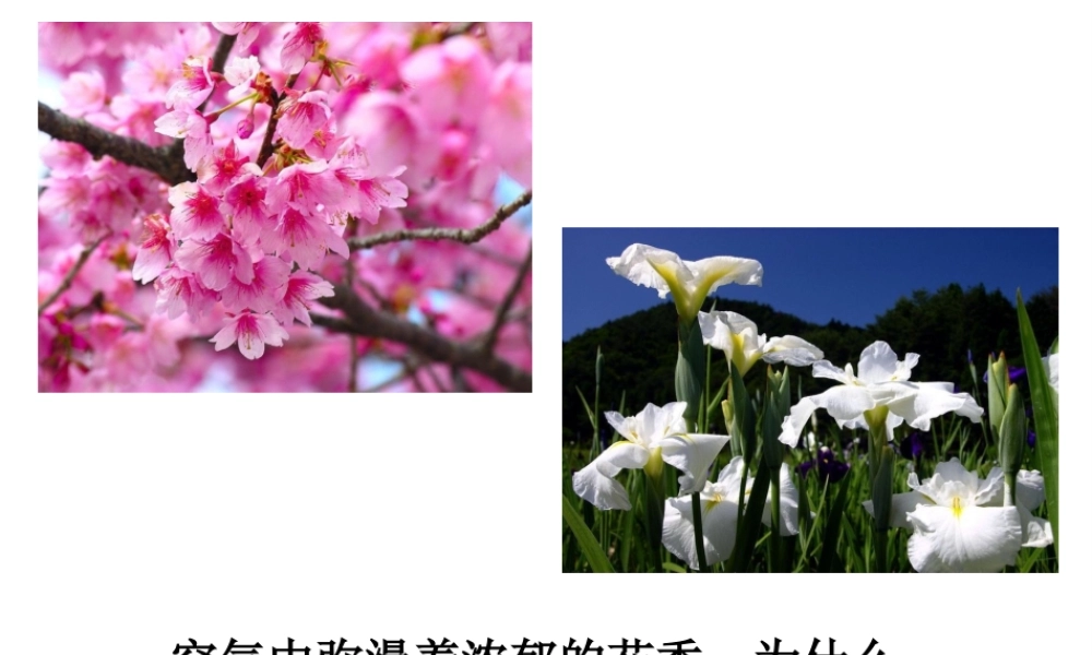 安徽省合肥市肥西县刘河乡九年级化学上册 第三单元 物质构成的奥秘 3.1 分子和原子（第1课时）课件 （新版）新人教版-（新版）新人教版初中九年级上册化学课件