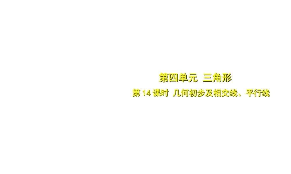 安徽省中考数学总复习 第四单元 三角形 第14课时 几何初步及相交线、平行线（考点突破）课件-人教版初中九年级全册数学课件