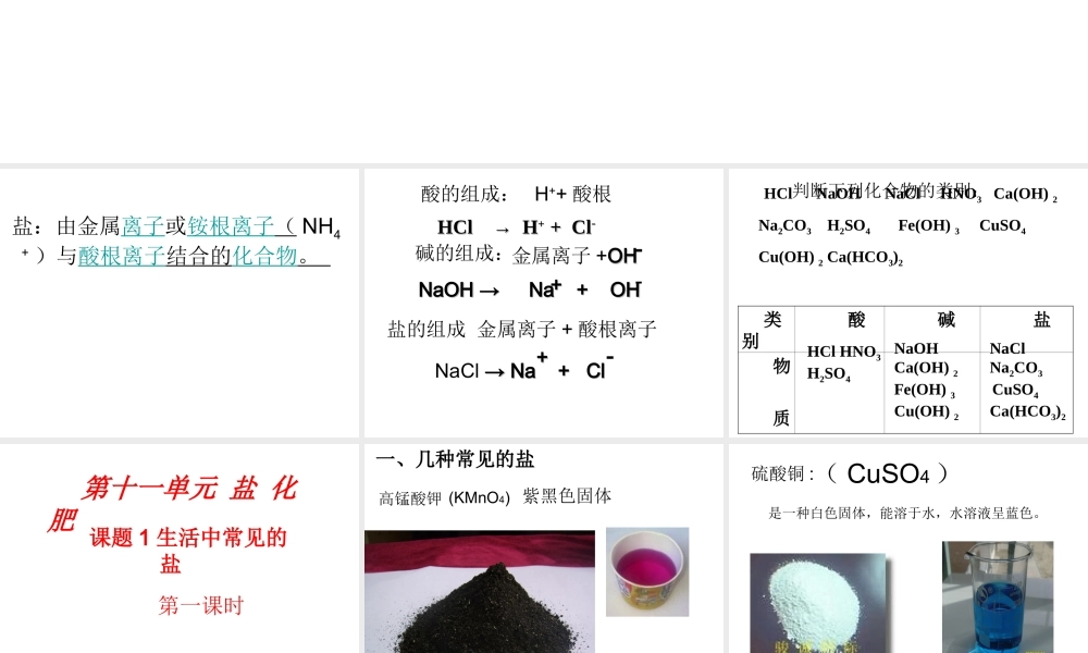 安徽省合肥市肥西县刘河乡九年级化学下册 11.1 生活中常见的盐课件1 （新版）新人教版-（新版）新人教版初中九年级下册化学课件