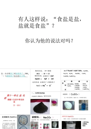 安徽省合肥市肥西县刘河乡九年级化学下册 11.1 生活中常见的盐课件1 （新版）新人教版-（新版）新人教版初中九年级下册化学课件