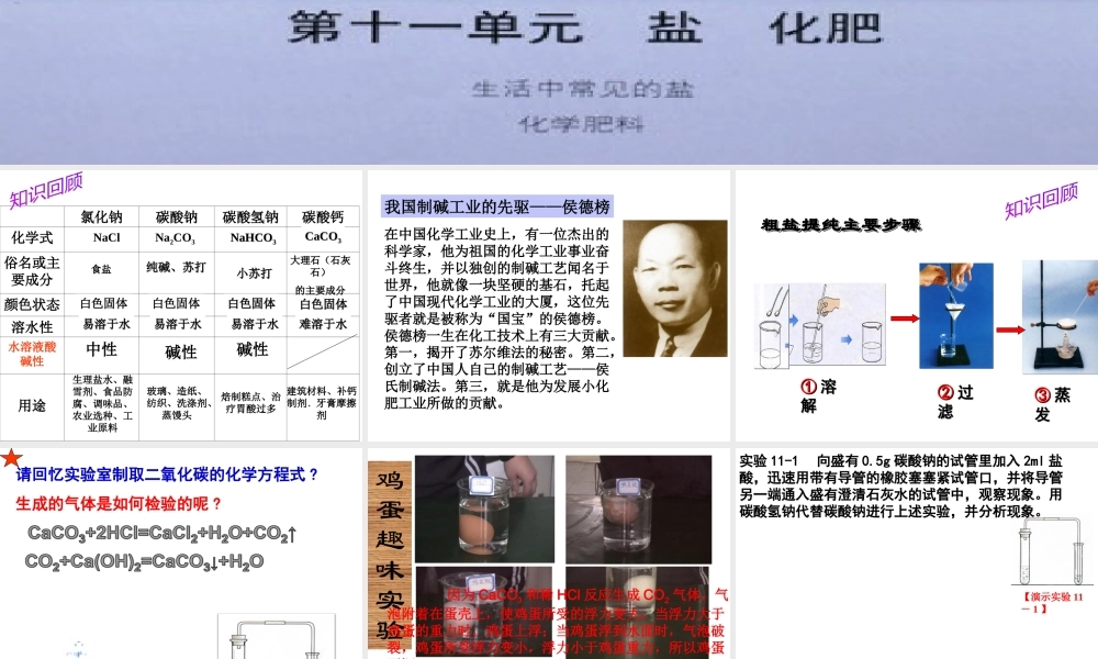 安徽省合肥市肥西县刘河乡九年级化学下册 11.1 生活中常见的盐课件2 （新版）新人教版-（新版）新人教版初中九年级下册化学课件