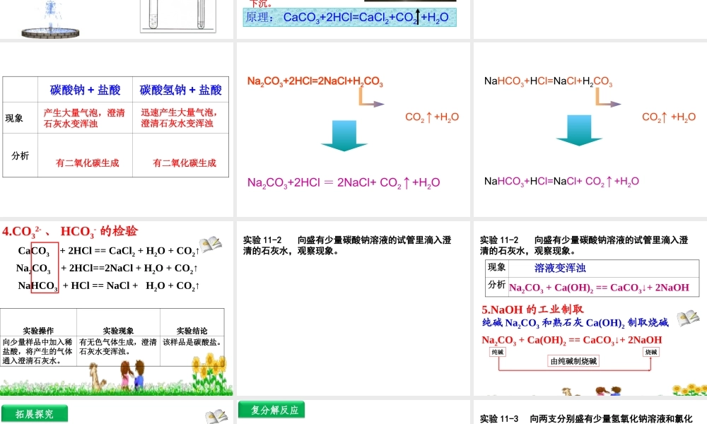 安徽省合肥市肥西县刘河乡九年级化学下册 11.1 生活中常见的盐课件2 （新版）新人教版-（新版）新人教版初中九年级下册化学课件