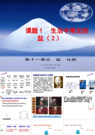 安徽省合肥市肥西县刘河乡九年级化学下册 11.1 生活中常见的盐课件2 （新版）新人教版-（新版）新人教版初中九年级下册化学课件