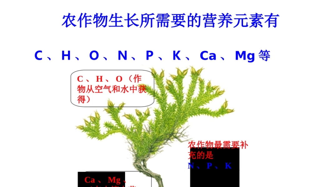 安徽省合肥市肥西县刘河乡九年级化学下册 11.2 化学肥料课件 （新版）新人教版-（新版）新人教版初中九年级下册化学课件
