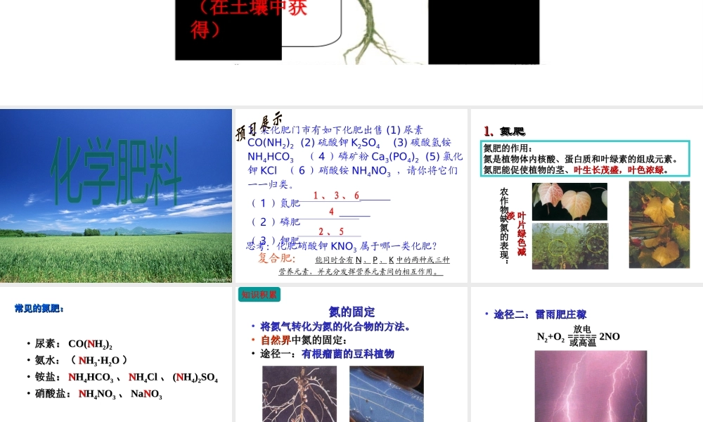 安徽省合肥市肥西县刘河乡九年级化学下册 11.2 化学肥料课件 （新版）新人教版-（新版）新人教版初中九年级下册化学课件