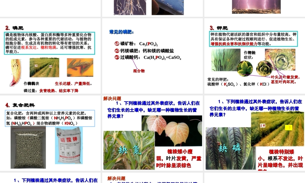 安徽省合肥市肥西县刘河乡九年级化学下册 11.2 化学肥料课件 （新版）新人教版-（新版）新人教版初中九年级下册化学课件